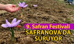 SAFRAN FESTİVALİ COŞKUSU SAFRANOVA'DA SÜRÜYOR