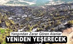 KARABÜK'TE İLK AĞAÇ DİKİMİ 11 KASIM'DA