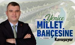 YENİCE MİLLET BAHÇESİNE KAVUŞUYOR