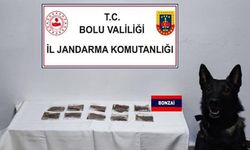 YOL KONTROLÜNDE UYUŞTURUCU MADDE YAKALANDI 7 GÖZALTI