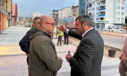BAŞKAN ÇETİNKAYA, "ZONGULDAK CADDESİ IHLAMUR AĞAÇLARIYLA MİS GİBİ KOKACAK"