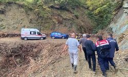 ABANA'DA AYI SALDRISINA UĞRAYAN VATANDAŞ YARALANDI