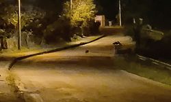 AÇ KALAN ÇAKAL YAVRULARI ŞEHİR MERKEZİNE İNDİ