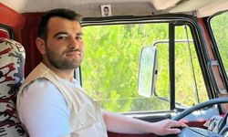 ARAÇ'TA ÜZERİNE AĞAÇ DEVRİLEN ŞAHIS YARALANDI