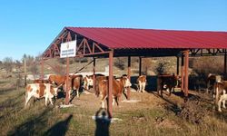 BOLU'DA 44 AİLEYE 2 MİLYON LİRA HİBE KREDİSİ