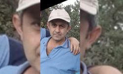 BOLU'DA KESTİĞİ AĞACIN ALTINDA KALAN VATANDAŞ HAYATINI KAYBETTİ