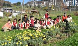 MİNİKLER BOTANİK BAHÇESİ'Nİ GEZDİ