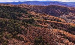 ÇANKIRI'DA SONBAHAR MANZARALARI GÖRÜNTÜLENDİ