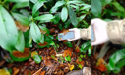 CANSIZ BEDENİ BULUNAN ANNENİN KAYIP TELEFONU BULUNDU