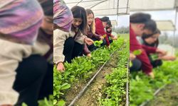 ÇAYCUMA'DA ÖĞRENCİLERE UYGULAMALI EĞİTİM