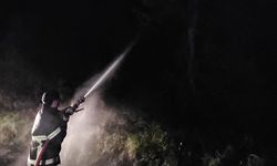 CİDE'DEKİ ORMAN YANGIN İTFAİYE TARAFINDAN BÜYÜMEDEN SÖNDÜRÜLDÜ