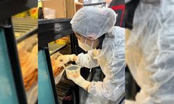 DEVREK'TE DENETİMLER HIZ KESMEDEN DEVAM EDİYOR