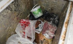 DEVREK'TE ZABITA EKİPLERİ UYGUNSUZ PİDE İMALATI YAPAN İŞ YERİNİ MÜHÜRLEDİ