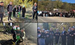 YENİCE'DE FİDANLAR TOPRAKLA BULUŞTU