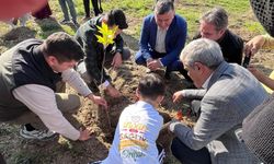 DEVREK'TE 400 FİDAN DİKİLDİ