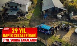 3 YILLIK FİRARİ HAYVAN ÇİFTLİĞİNDE YAKALANDI