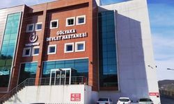 GÖLYAKA'DA 2 OTOMOBİL KAFA KAFAYA ÇARPIŞTI 4 YARALI