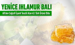 YENİCE IHLAMUR BALI AB'DEN TESCİLLİ 43. ÜRÜN OLDU