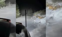 ILGAZ'DA YÜKSEK KESİMLER BEYAZA BÜRÜNDÜ