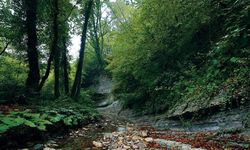 KASTAMONU GÜNEY KARADENİZ JEOPARK İÇİN BAŞVURU YAPILDI