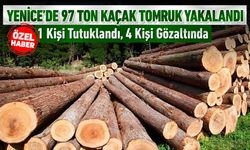YENİCE'DE 97 TON KAÇAK TOMRUK YAKALANDI