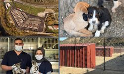 KARABÜK HAYVAN BAKIM EVİ'NDE KIŞ HAZIRLIKLARI TAMAMLANDI