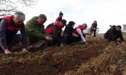 KASAMONU'DA 38 BİN FİDE DAĞITIMI YAPILDI