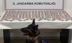 KASTAMONU'DA UYUŞTURUCUYLA YAKALANAN ZANLI TUTUKLANDI