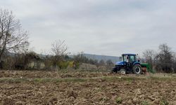 KASTAMONU'DA 12 BİN YILLIK SİYEZ BUĞDAYI TOPRAKLA BULUŞTU