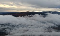 KASTAMONU'DA DOĞA VE SİS BULUŞMASI