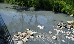 KİRLİLİĞE KARŞI AÇILAN DAVA YENİDEN GÖRÜLECEK