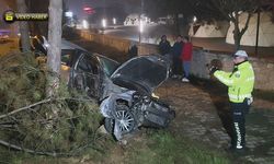 KONTROLDEN ÇIKAN OTOMOBİL DİREK VE AĞAÇLARA ÇARPTI