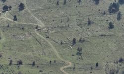 MENGEN'DE KAYIP HAYVANLAR DRONLA KISA SÜREDE BULUNDU