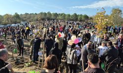 MİLLİ AĞAÇLANDIRMA GÜNÜNDE BARTIN'DA 3 BİN 500 FİDAN DİKİLDİ
