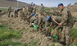 MUDURNU'DA KOMANDOLAR FİDAN DİKTİ