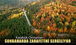 KARABÜK ORMANLARI SONBAHARDA ZARAFETİNİ SERGİLİYOR