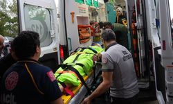 ORMANDA MANTAR TOPLAYAN İMAMMA AYI SALDIRDI