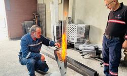 ALAPLI'NIN PELET SOBALARI DÜNYA PAZARINDA