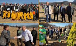 SAFRANBOLU'DA MİLLİ AĞAÇLANDIRMA GÜNÜNDE FİDANLAR TOPRAKLA BULUŞTU