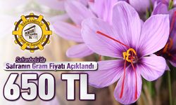 SAFRANBOLU TSO, SAFRAN’IN GRAMINI 650 LİRA OLARAK AÇIKLADI