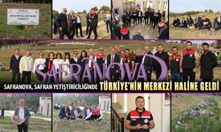 SAFRANOVA, SAFRAN YETİŞTİRİCİLİĞİNDE MERKEZ HALİNE GELDİ
