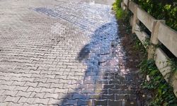 TONLARCA SU BOŞA AKTI