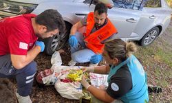 ZONGULDAK'TA İL AFET SAHA TATBİKATI HAZIRLANDI