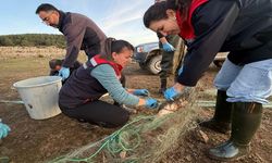 TAŞLIYAYLA GÖLETİ'NDEN 5 KİLOMETRELİK AĞ TOPLANDI