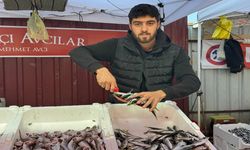 TEZGAHLARDA HAMSİNİN YERİNİ USKUMRU, MEZGİT, İSTAVRİT ALTI