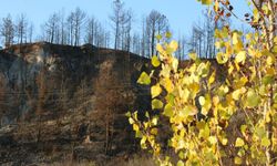 KARABÜK'TE YANGIN VE SONBAHAR RENKLERİ BİR ARADA GÖRÜNTÜLENDİ