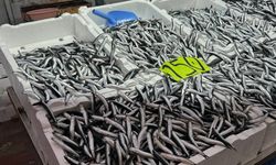 ZONGULDADK'TA OLUMSUZ HAVA ŞARTLARI HAMSİNİN FİYATINI ETKİLEDİ