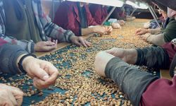 ZONGULDAK'TA FINDIK FİYATLARI BAZI BÖLGELERDE FARKLILIK GÖSTERİYOR
