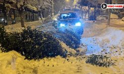 KAR AĞIRLIĞINA DAYANAMAYAN AĞAÇLARIN DALLARI KIRILDI