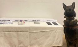 BOLU İL JANDARMA EKİPLERİNDE UYUŞTURUCU OPERASYONU